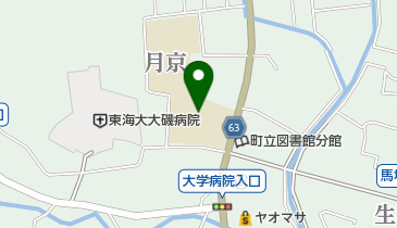 大磯町立国府小学校の地図画像