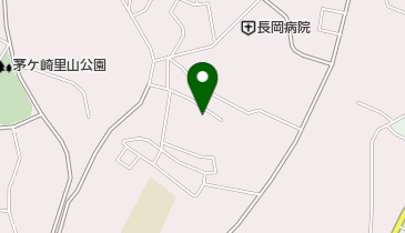ひかりの子幼稚園の地図画像