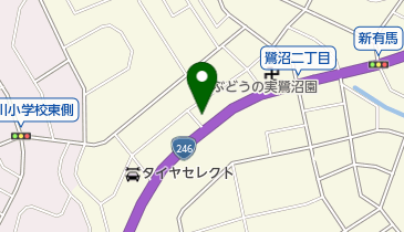 ぶどうの実第2さぎぬま園の地図画像