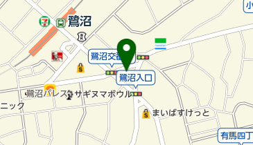 栄光ゼミナール高等部navio鷺沼校の地図画像