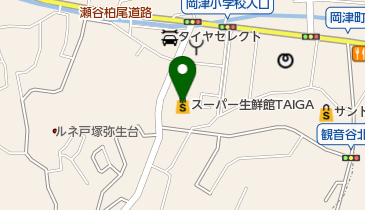 スーパー生鮮館TAIGA岡津店の地図画像