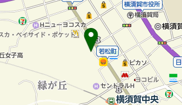 ドラッグ新共の地図画像
