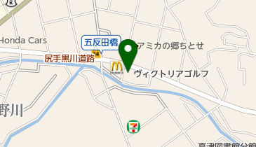 ヴィクトリアゴルフ川崎野川店の地図画像