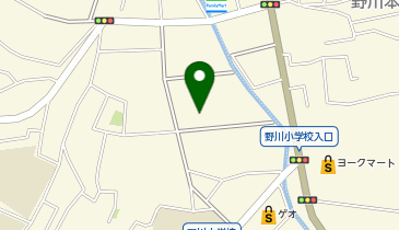 ダイソーパシオス野川店の地図画像