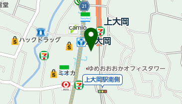 カプリチョーザウィング上大岡店の地図画像