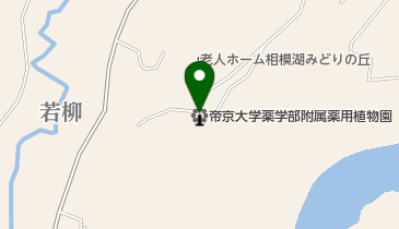帝京大学薬学部附属薬用植物園の地図画像