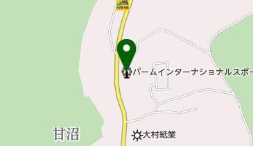 パームインターナショナルスポーツクラブの地図画像