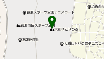 F・マリノス成城石井パークの地図画像