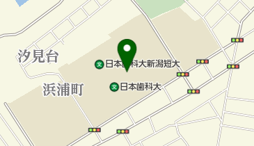 日本歯科大学新潟生命歯学部医の博物館の地図画像