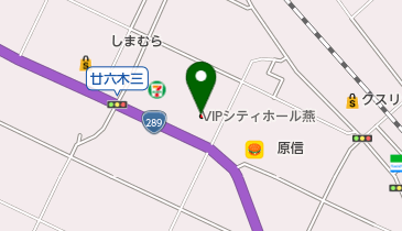 VIPシティホール燕の地図画像