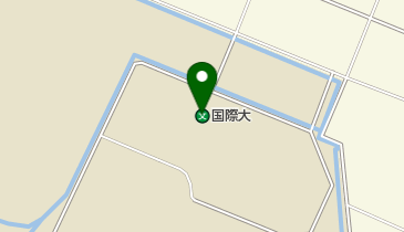 私立国際大学の地図画像