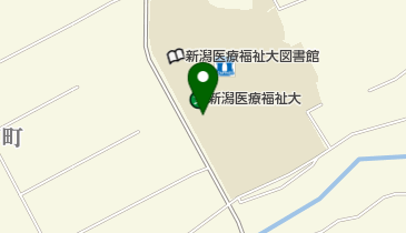 私立新潟医療福祉大学の地図画像
