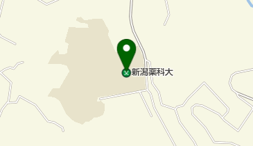 私立新潟薬科大学新津キャンパスの地図画像