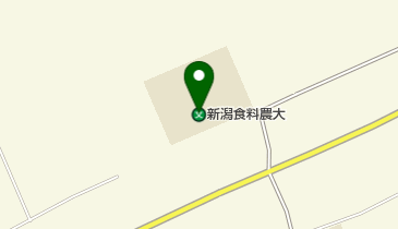 私立新潟食料農業大学新潟キャンパスの地図画像
