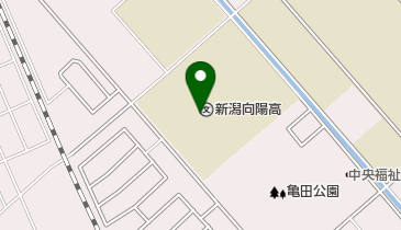 新潟県立新潟向陽高校の地図画像
