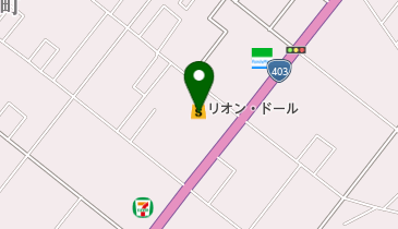 リオン・ドール加茂店の地図画像