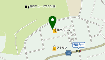 ひらせいホームセンター生鮮広場長岡ニュータウン店の地図画像