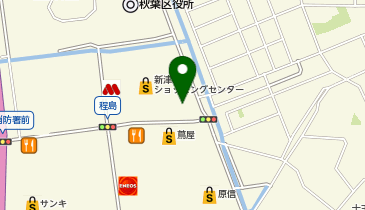 ダイソー新津程島SC店の地図画像