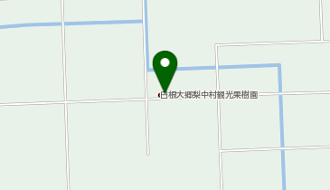 白根大郷中村観光果樹園の地図画像