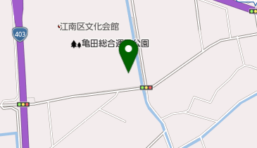 新潟市亀田総合運動公園の地図画像