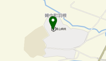 独立行政法人国立病院機構富山病院の地図画像