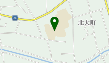 氷見市立比美乃江小学校の地図画像