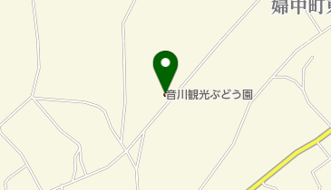 音川観光ぶどう園の地図画像