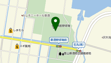県民公園新港の森県営新港野球場の地図画像