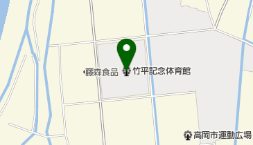 高岡市竹平記念体育館の地図画像