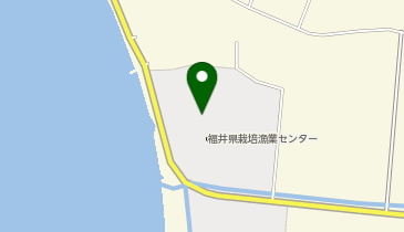 公立大学法人福井県立大学かつみキャンパスの地図画像