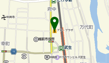 ダイソーアルプラザ武生店の地図画像