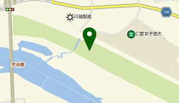 天池河川公園ソフトボール場の地図画像