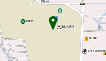 中央市立玉穂南小学校下河東分校の地図画像
