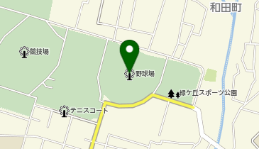 ふじでん球場の地図画像