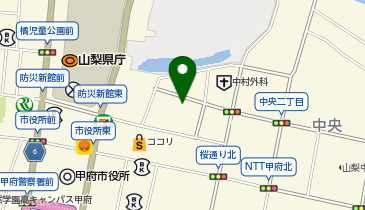 小江戸甲府花小路の地図画像