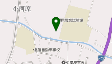 長野県農業大学校果樹実科・研究科の地図画像