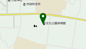 三郷 文化 公園 体育館