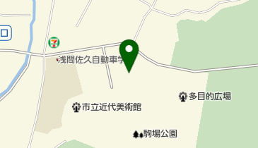 佐久鯉まつりの地図画像