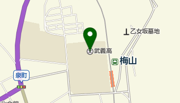 岐阜県立武義高校の地図画像