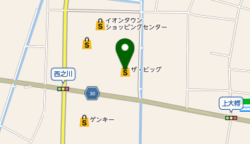 ザ・ビッグ輪之内店の地図画像