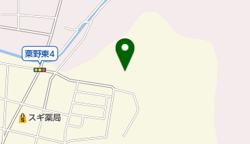 大龍寺の地図画像