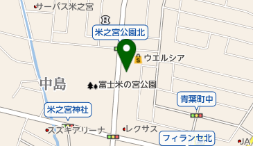ヴィクトリアゴルフ富士店の地図画像