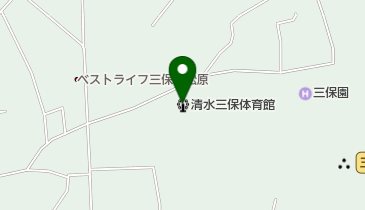 静岡市清水三保体育館の地図画像