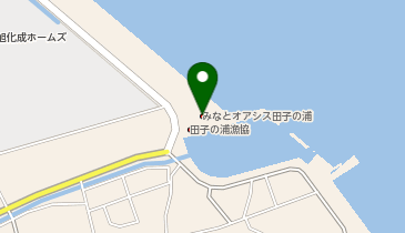 みなとオアシス田子の浦の地図画像