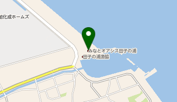 みなとオアシス田子の浦の地図画像