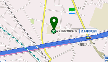 私立愛知医療学院大学の地図画像
