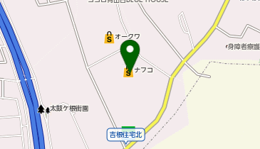 ロピア守山店の地図画像
