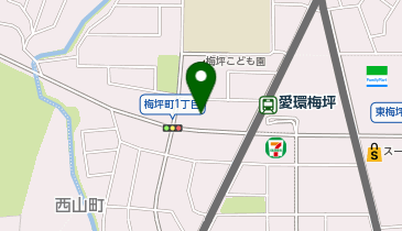 マックハウス豊田梅坪店の地図画像