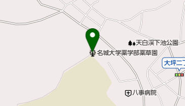 名城大学薬学部薬草園の地図画像