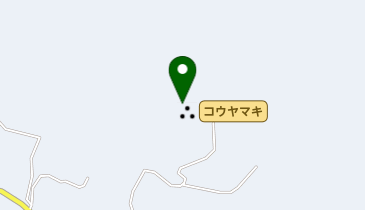 甘泉寺のコウヤマキの地図画像